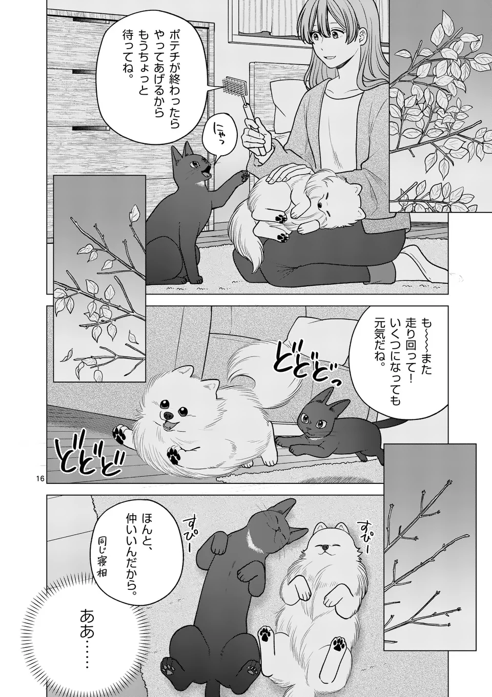 Isekai Pomeranian to Niji no Mofumofu Tabi - Chapter 26 - Page 16